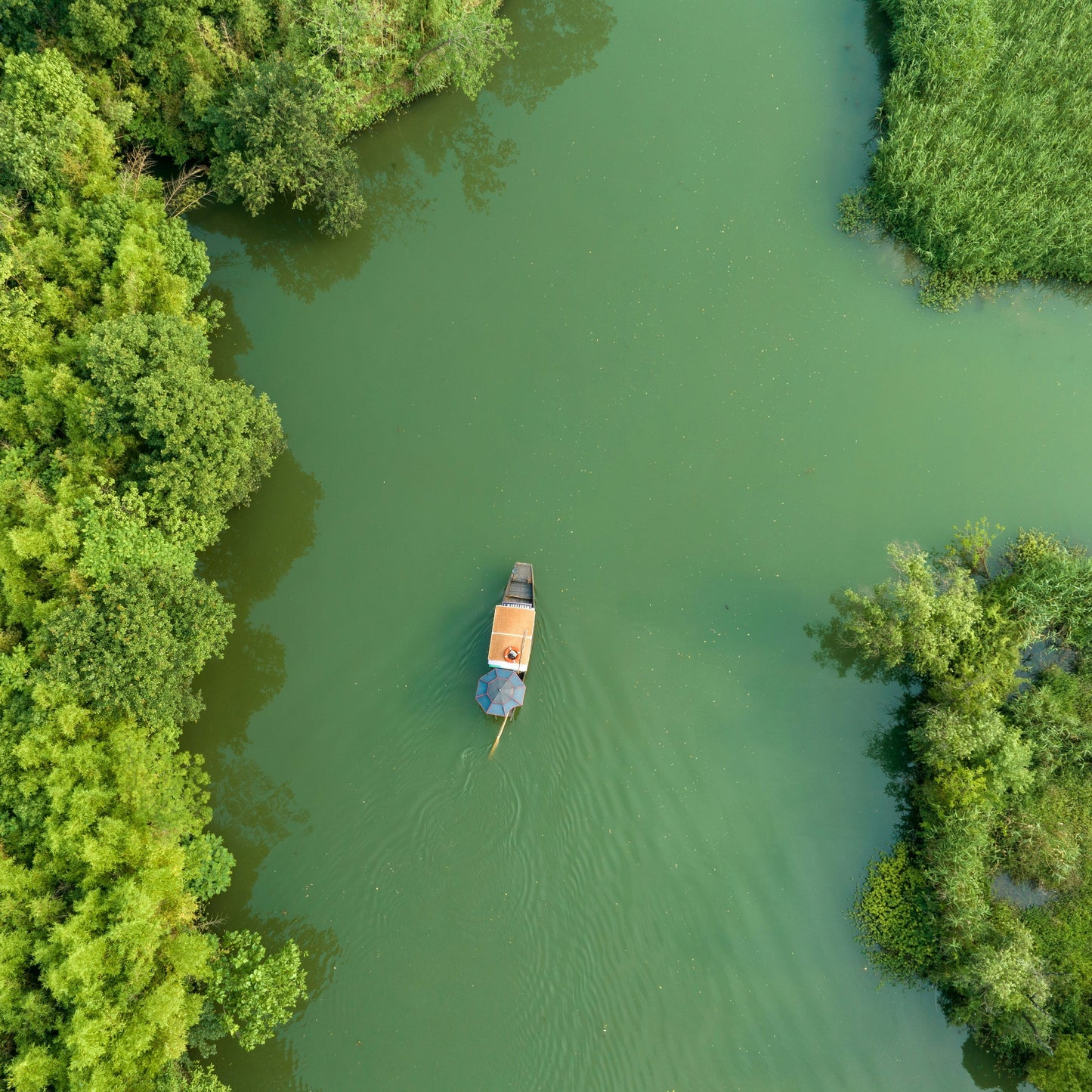 Why the Sundarbans? The Story Behind Our Name